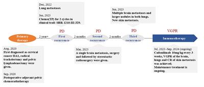 Second-line monotherapy with a PD-1/CTLA-4 inhibitor effectively treated multiple brain and lung metastases of cervical cancer: a case report